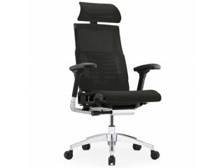 Scaune ergonomice Comfort Seating - este proiectat pentru a asigura confortul spatelui dvs.