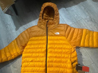 The North Face Terra Peak Hoody (Women's)