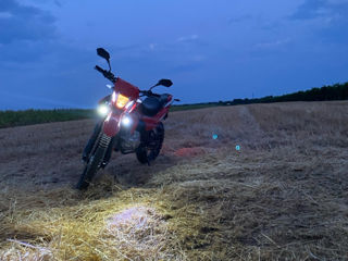 Viper Enduro foto 2