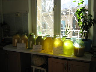 Мёд экологически-чистый foto 1