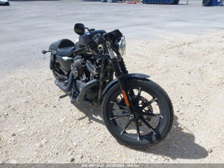 Harley - Davidson XL883 N