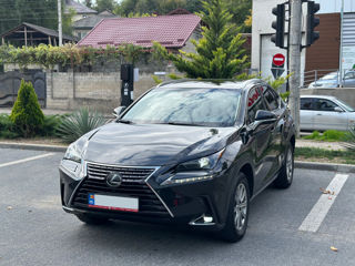 Lexus NX Series foto 3