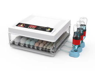 Incubator pentru oua Demetra MD-130, 4 luni - 0%, livrare gratuita - FlexMag foto 0