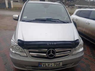 Mercedes Viano