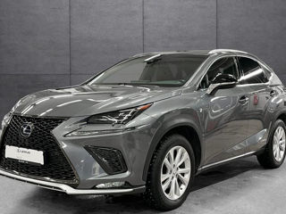 Lexus NX Series