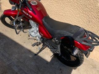 Wolf Motors