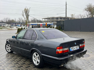 BMW 5 Series foto 4