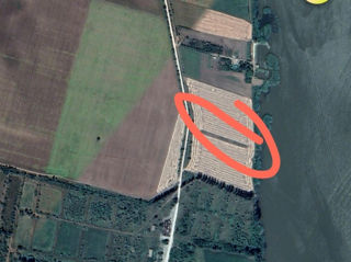 Продается земельный участок на берегу реки Днестр 0.1799 ha foto 3