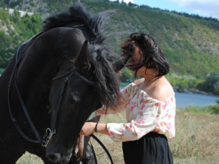 Cai frumosi pentru sedinte foto. cai-modele foto, rasa friz, orlov, pinto. foto 1