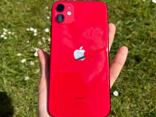 Apple iPhone 11 Red foto 0