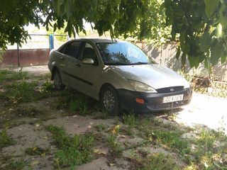 Ford Focus foto 4