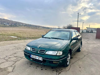 Nissan Primera foto 5