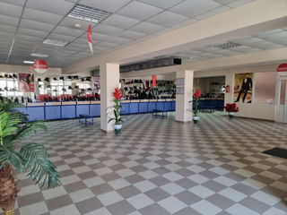 Spatiu comercial Briceni foto 2