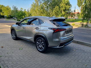 Lexus NX Series фото 7