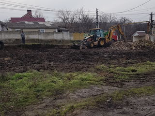 Огороды.Деревья. Вырубка. Резка. Выкорчёвка. Вывоз мусора. Taiem copaci. Curatenie in gradina foto 4