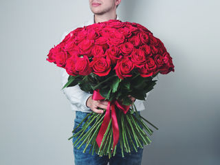 Super ofertă! Trandafiri rosii 60 cm la super pret, de la 20 lei foto 2