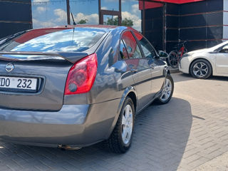 Nissan Primera foto 5