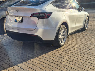 Tesla Model Y foto 3