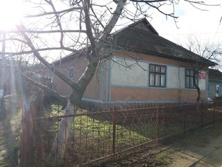 Se vinde urgent casă în Căușeni Vechi!! foto 1