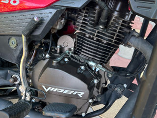 Viper 200 foto 3