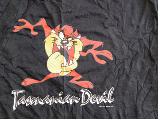 Vintage Tasmanian Devil Taz  T-Shirt Looney Tunes 2001 foto 2