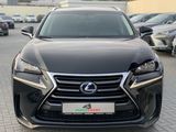 Lexus NX Series foto 2