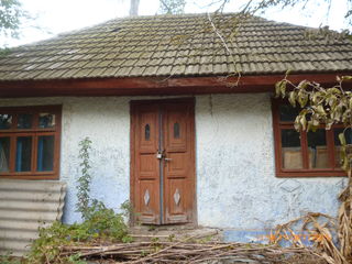 2 case vechi, teren 15a. in s.Fuzauca r-ul Soldanesti foto 5