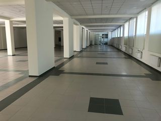 Spatiu comercial Centrul de Mobila! 210, 314 m2 destinat doar pu producatori sau comercianti mobila foto 4