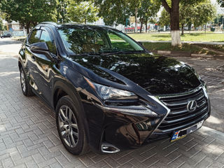 Lexus NX Series