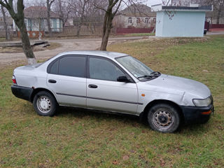 Toyota Corolla foto 7