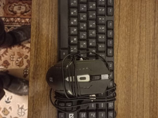 Mouse + Tastatură Defender