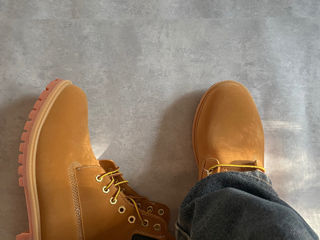 Timberlands foto 3