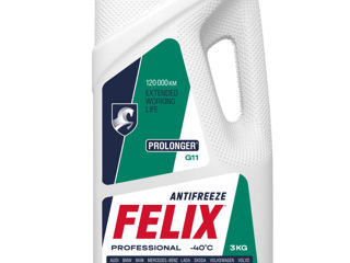 Antifreeze Felix, Полярник, Дзержинский de la dealer-ul oficial. foto 4