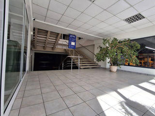 Spațiu Comercial / Reprezentanta de Închiriat. 600 mp – str. Calea Iesilor 10 фото 5