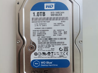 HDD intern 1TB 3.5 SATA Western Digital Blue foto 1
