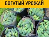 Мясокостная мука превосходное органическое удобрение. Доставка. Viber WhatsApp Telegram. foto 3