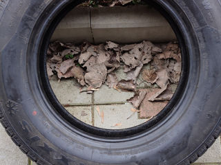 Maxxis 195/75 R16C MS foto 2