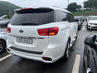 KIA Carnival foto 3