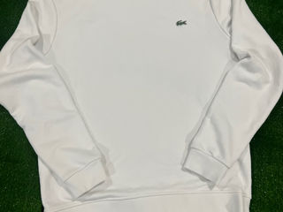 Lacoste colectie noua original