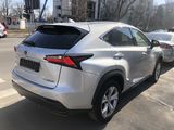 Lexus NX Series foto 9