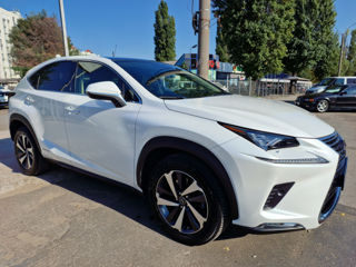 Lexus NX Series foto 3