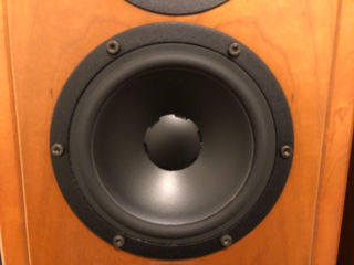 Dynaudio contour 3.3 hi-end. foto 2