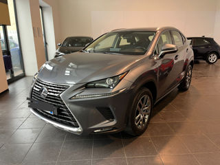 Lexus NX Series