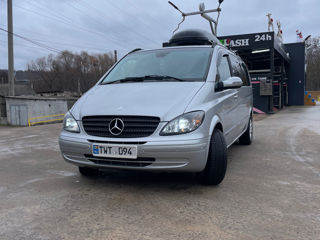 Mercedes Viano foto 7