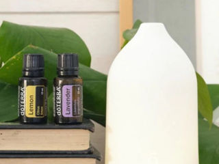 Диффузор doTERRA Laluz + Lavander и Lemon диффузор для эфирных масел foto 1