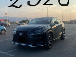 Lexus NX Series