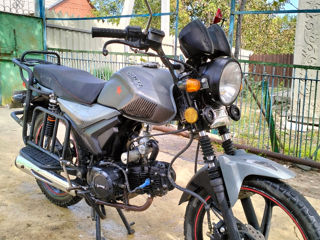 Viper Zs125f