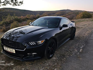 Ford Mustang foto 3