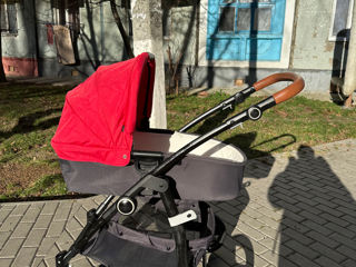 Cybex Leotie foto 5