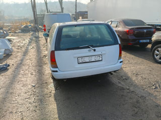 Nissan Primera foto 2